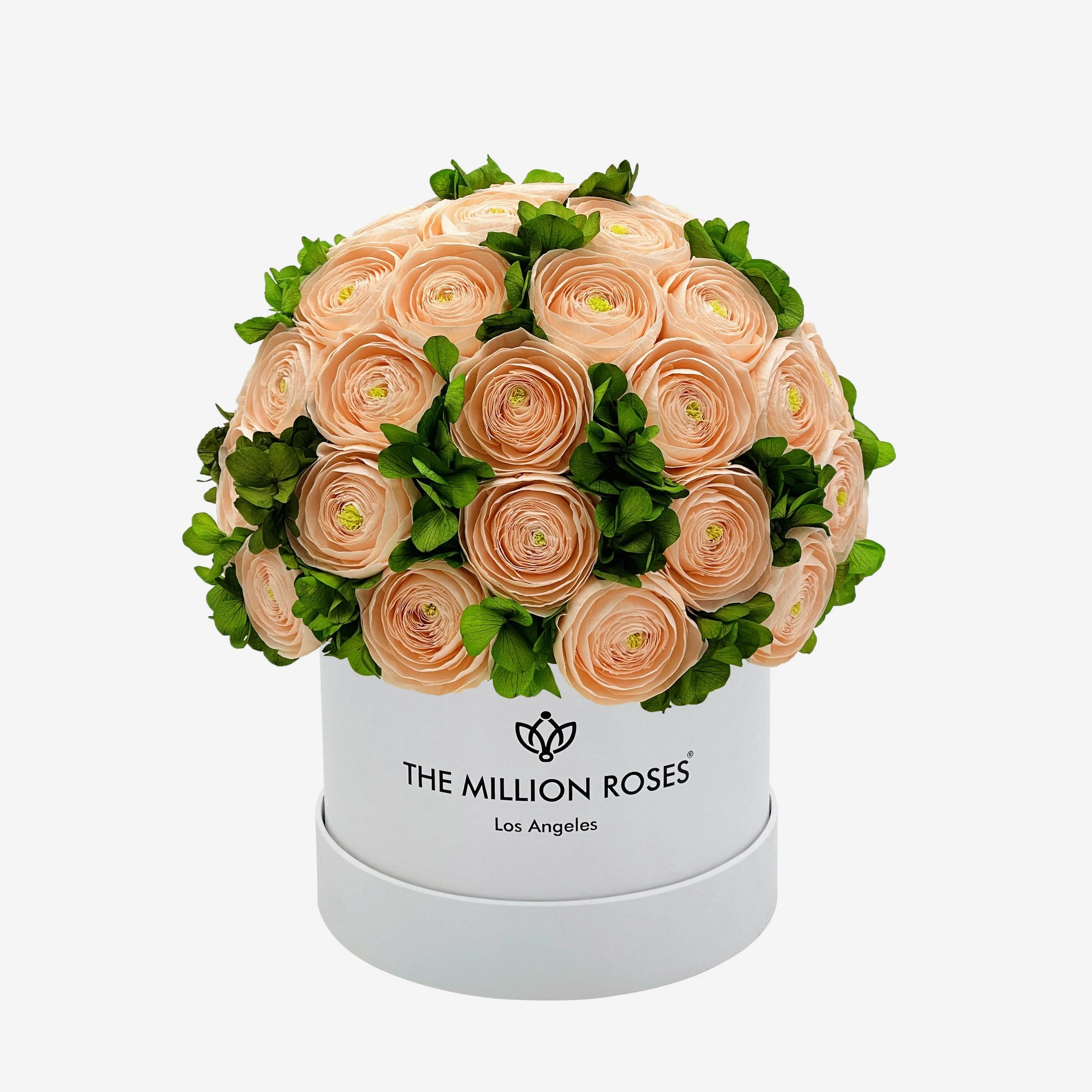 Classic White Box | Peach Persian Buttercups & Green Hydrangeas