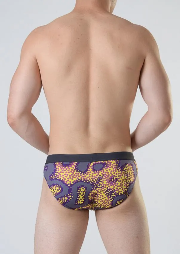 Swimming Briefs 1802s2