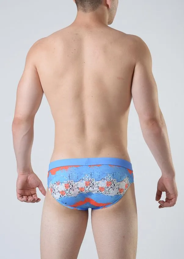 Swimming Briefs 1809s2